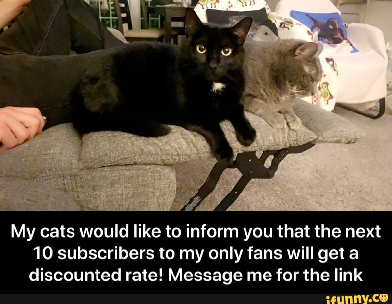 My cats would like to inform you that the next
10 subscribers to my only fans will get a discounted rate! Message me for the link - My cats would like to inform you that the next 10 subscribers to my only fans will get a discounted rate! Message me for the link