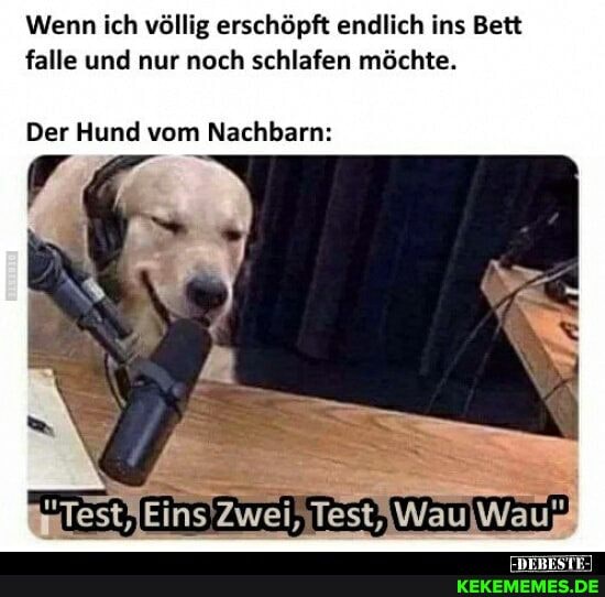 Wenn ich völlig erschöpft endlich ins Bett falle und nur noch schlafen möchte.
Der Hund vom Nachbarn:
Test