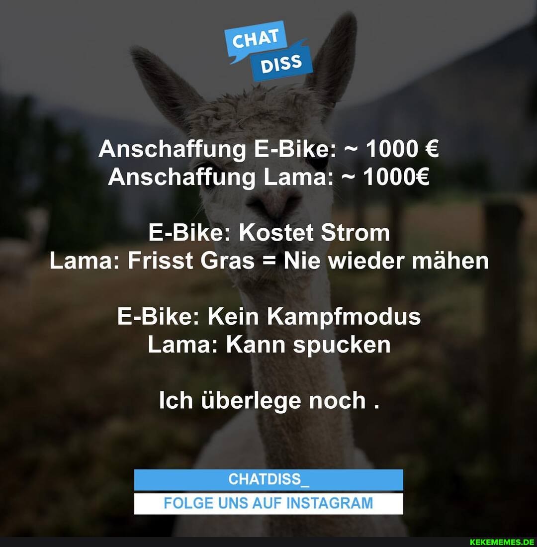 pi
Anschaffung E-Bike: - 1000
Anschaffung Lama: -
E-Bike: Kostet Strom
Lama: Frisst Gras = Nie wieder mähen
E-Bike: Kein Kampfmodus
Lama: Kann spucken
Ich überlege noch .
CHATDISS_
FOLGE UNS AUF INSTAGRAM