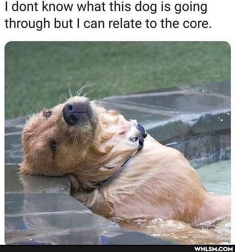I cont know what this dog is going through but I can relate to the core.
