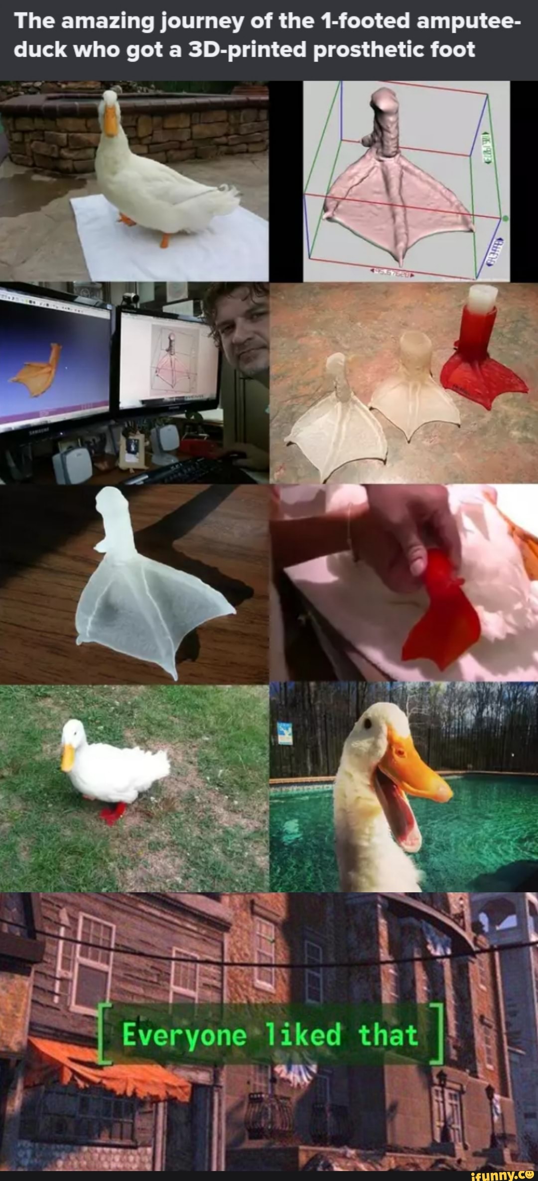 The amazing journey of the 1-footed amputee- duck who got a 3D-printed prosthetic foot
Everyone * liked