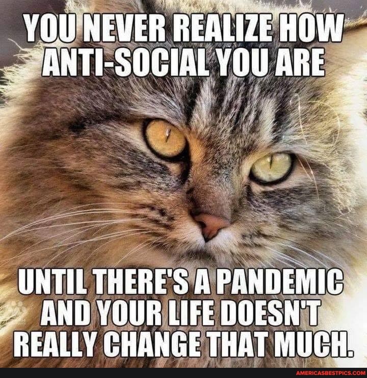 YOU NEVER REALIZE HOW ANTI-SOCIAL YOU ARE
UNTIL THERE'S A PANDEMIC AND YOURUFEDOESNT REALLY CHANGE THAT MUCH