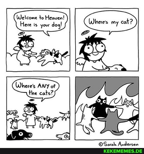 Welcome to Heaven!
Here is your dog!