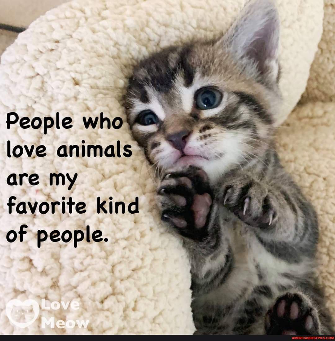People wha love animals are my favorite kind of people. 