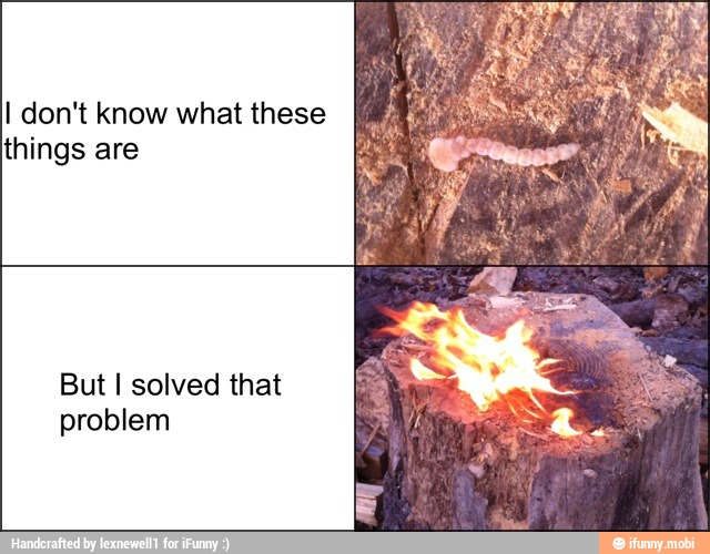 I don't know what these
things are
But I solved that
problem