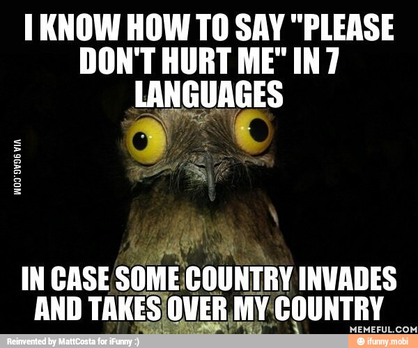 I KNOW HOW TO SAY "PLEASE
DON'T HURT ME" IN7
LANGUAGES