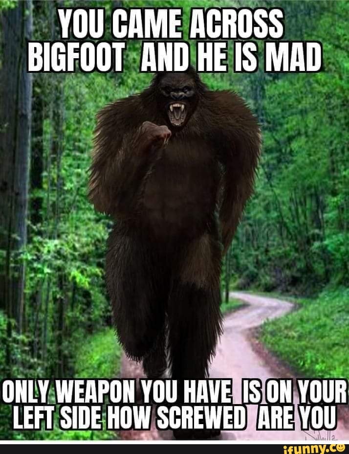 YOU CAME ACROSS BIGFOOT AND HE IS MAD ONLY WEAPON YOU HAVE ON YOUR LEFT ...