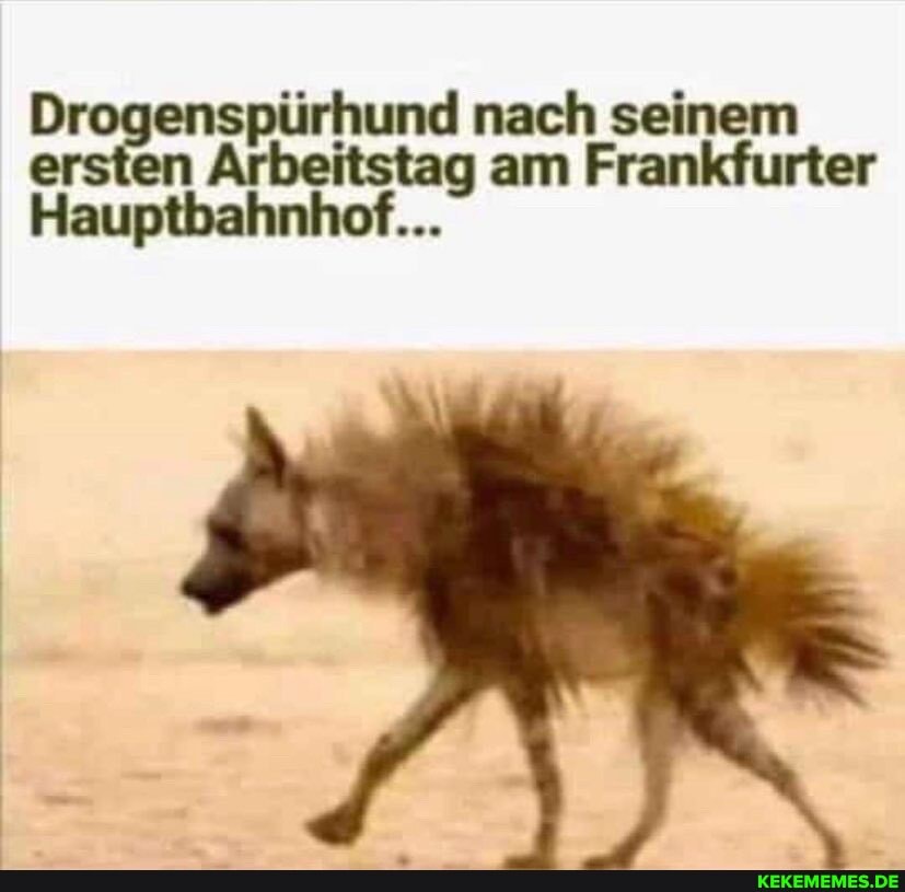 nach seinem n Arbeitstag am Frankfurter
Hauptbahnhof...