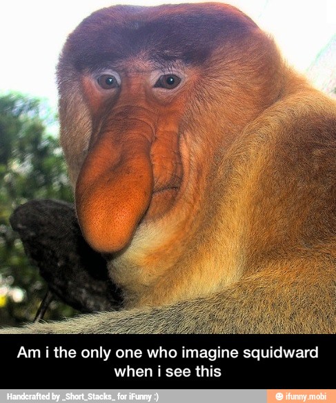 Am i the only one who imagine
when ¡ see this - Am i the only one who imagine squidward when i see this