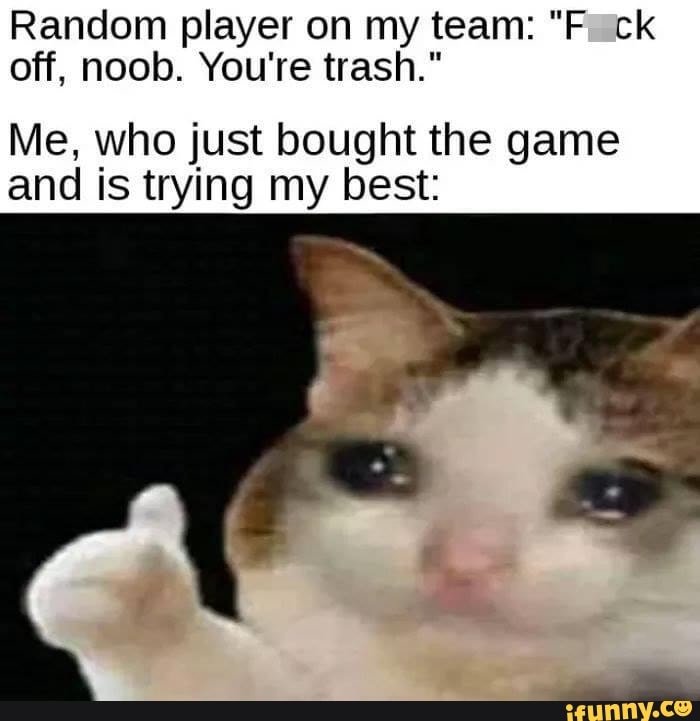 Random player on my team: "Fick
off, noob. You're trash."
Me, who just bought the game
and is trying my best: