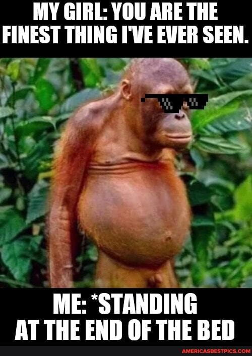 MY GIRL: YOU ARE THE FINEST THING I'VE EWER SEEN.
ME: "STANDING AT THE END NE THE REN