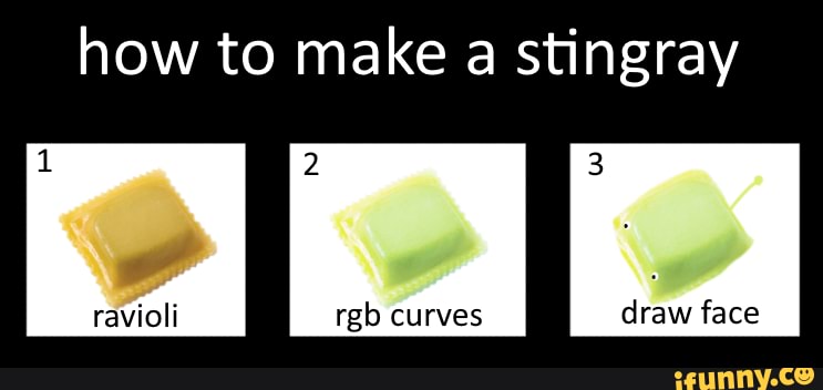 How to make a stingray ravioli rgb curves draw face - iFunny