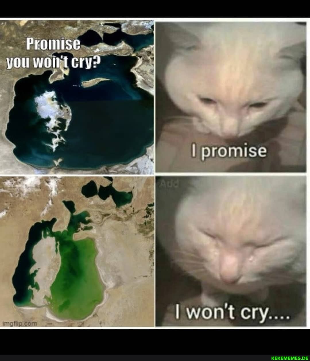 Prose
WONT
I promise
I won't cry...
