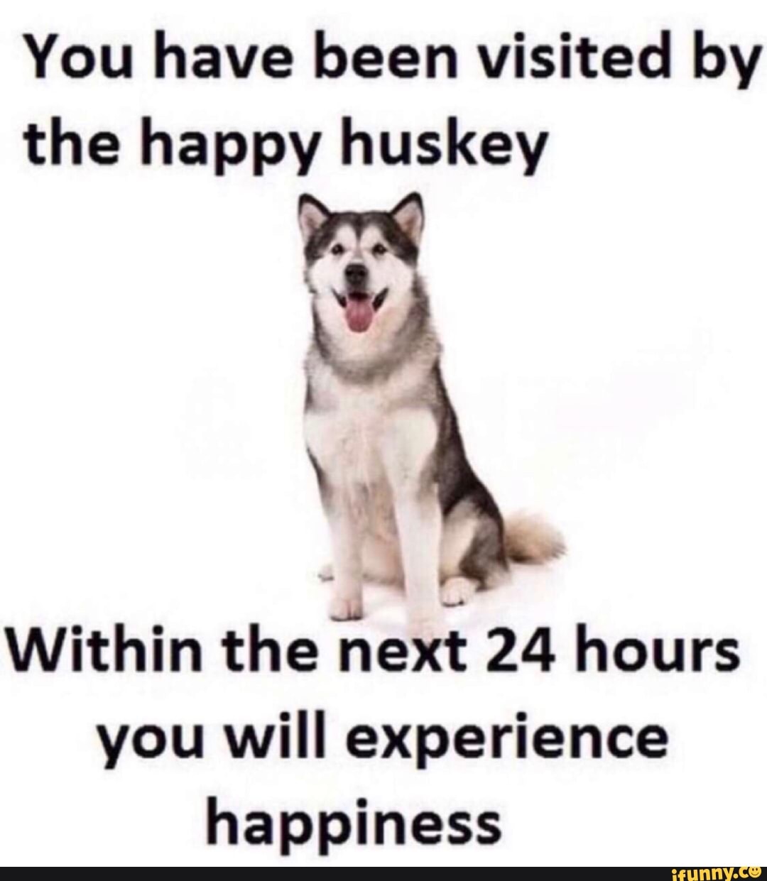 You have been visited by the happy huskey Dea Within the next 24 hours ...