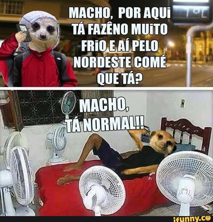 MACHO, POR AQUI
TÁ FAZENO MUITO -FRIOEALPELO,