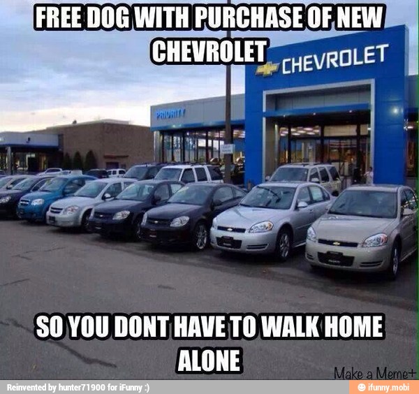 FREE DOG WITH PURCHASE OF NEW
SO,YOU DONT HAVE TO WALK HOME
ALONE
