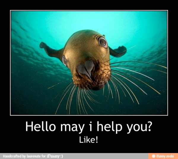 Hello may i help you?
Like! - Hello may i help you?
Like!