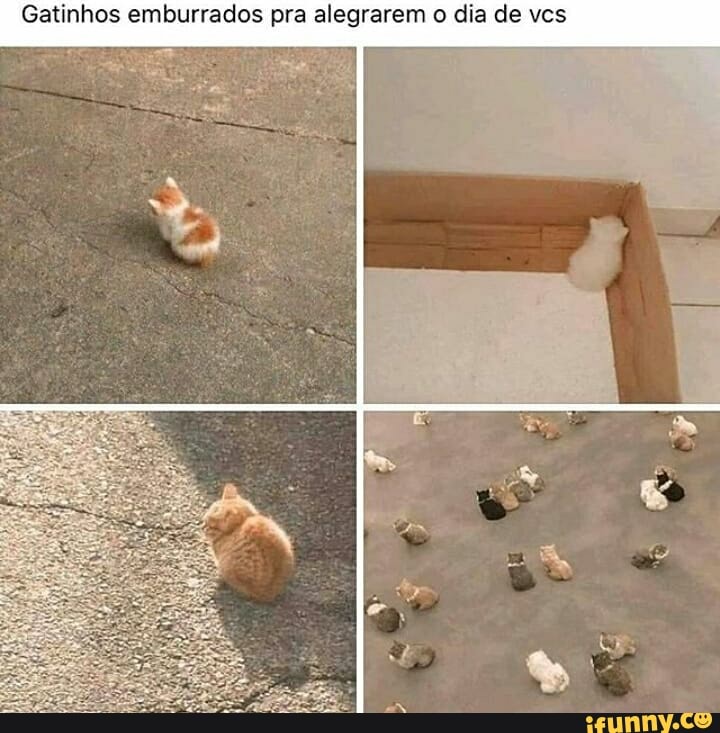 Gatinhos emburrados pra alegrarem o dia de vcs