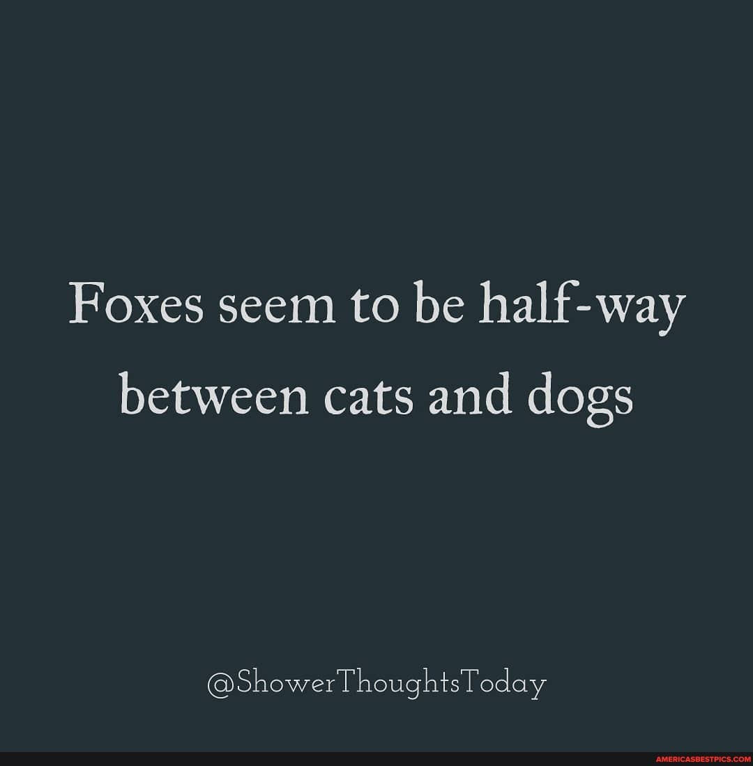 Foxes seem to be half-way
between cats and dogs
@ShowerThoughtsToday
