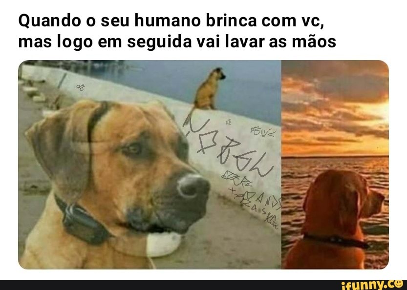 Quando o seu humano brinca com vc, mas logo em seguida vai lavar as mãos