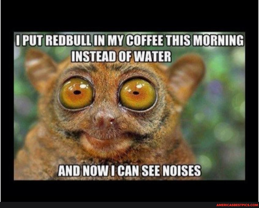 PUT,
IN MY COFFEE THIS MORNING
INSTEAD /OF, WATER
"AND NOW,
CAN
SEE NOISE