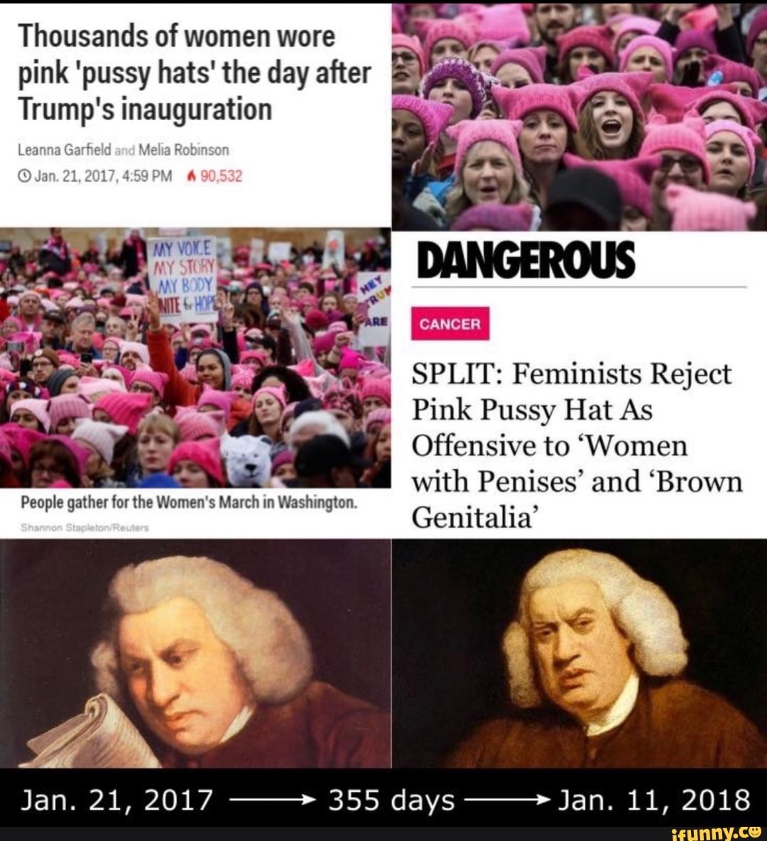 wore pink 'pussy hats' the day after Trump's inauguration Le...
