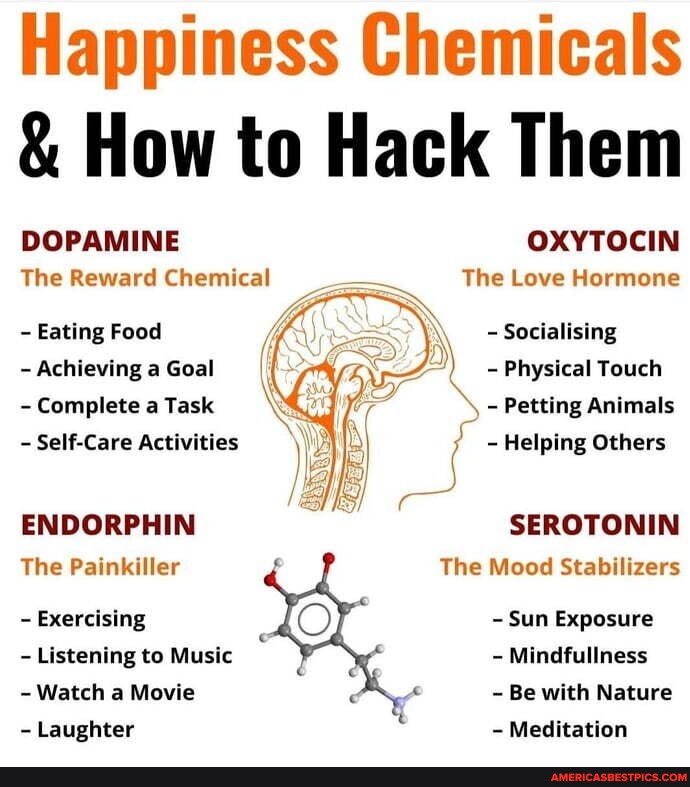 Happiness Chemicals & How to Hack Them DOPAMINE OXYTOCIN The Reward ...