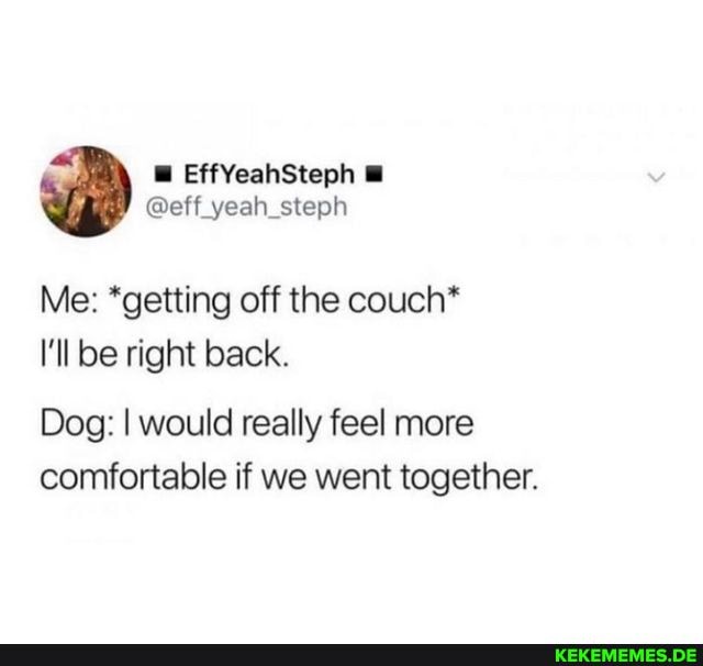 EffYeahSteph @eff_yeah_steph Me: *getting off the couch* I'll be right back. Dog