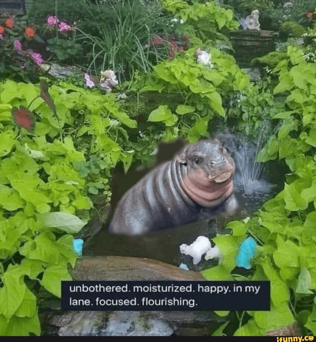 10 Hours of Soft Loli Breathing ' me, an intellectual iFunny