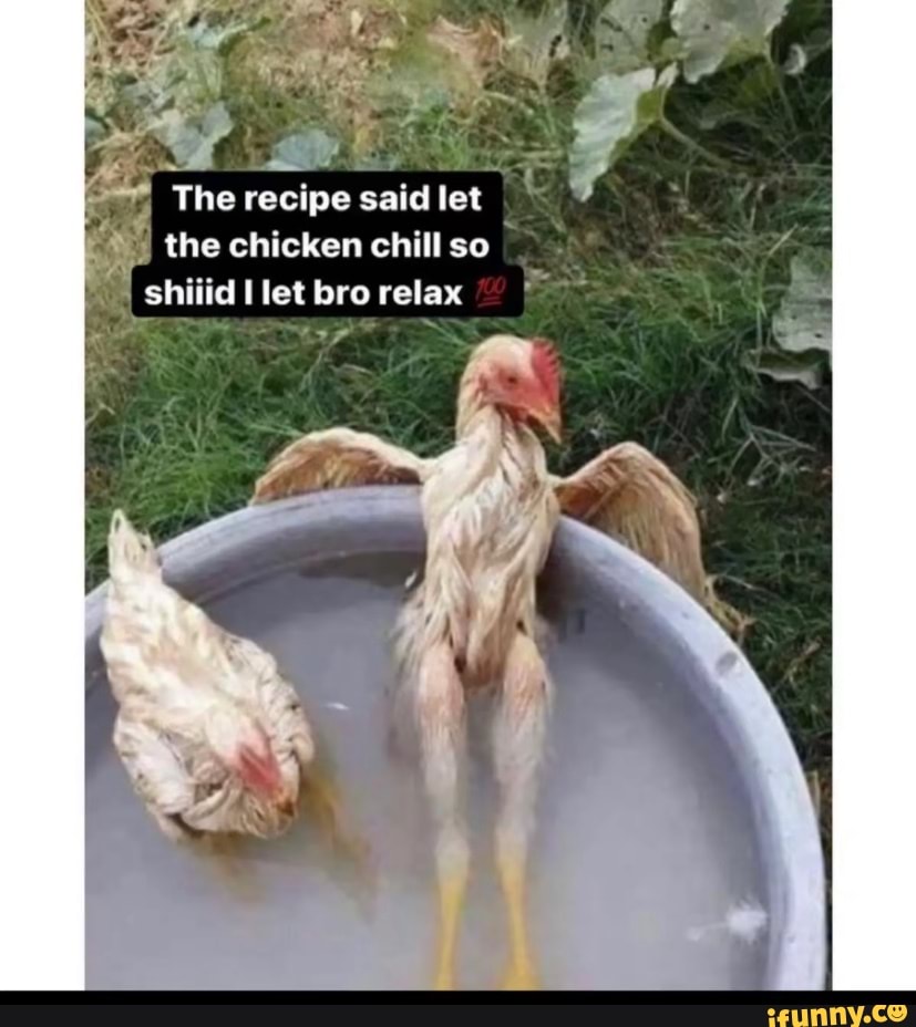 I The recipe said let the chicken chill so shiiid I let bro relax - iFunny