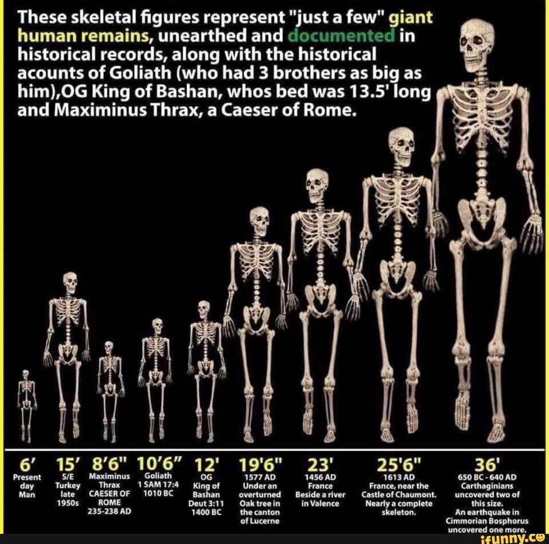 These Skeletal Figures Represent just A Few Giant Human Remains 