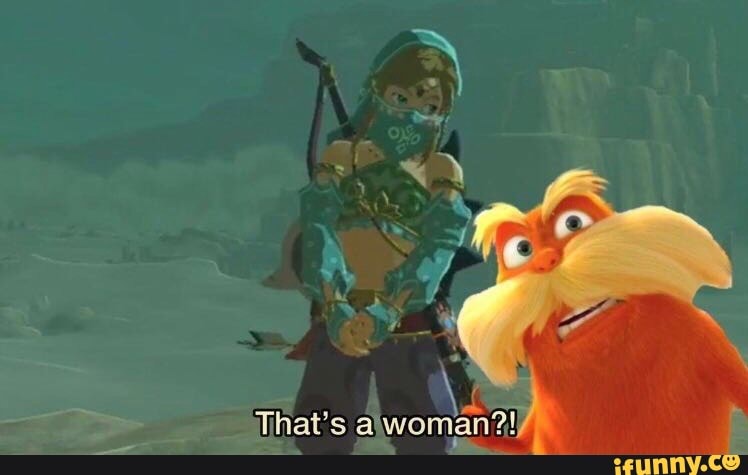 link, zelda, zeldabreathofthewild, gerudo, lorax, feet, are, neet