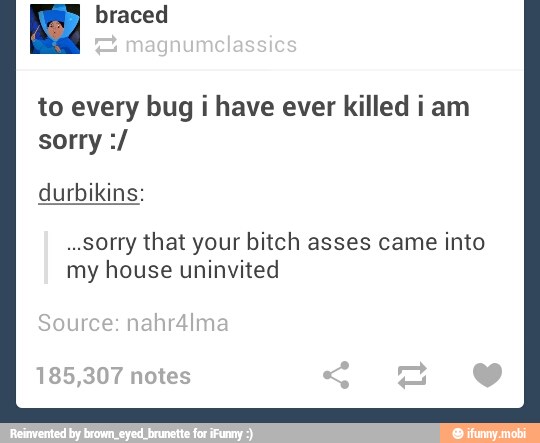 E
to every bug i have ever killed i am
durbikins:
..sorry that your bitch asses came into
my house uninvited