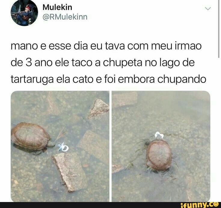 mano e esse dia eu tava com meu irmao
de 3 ano ele taco a chupeta no lago de
tartaruga ela cato e foi embora chupando