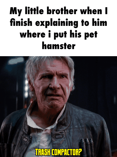 My little brother when I finish explaining to him where i put his pet