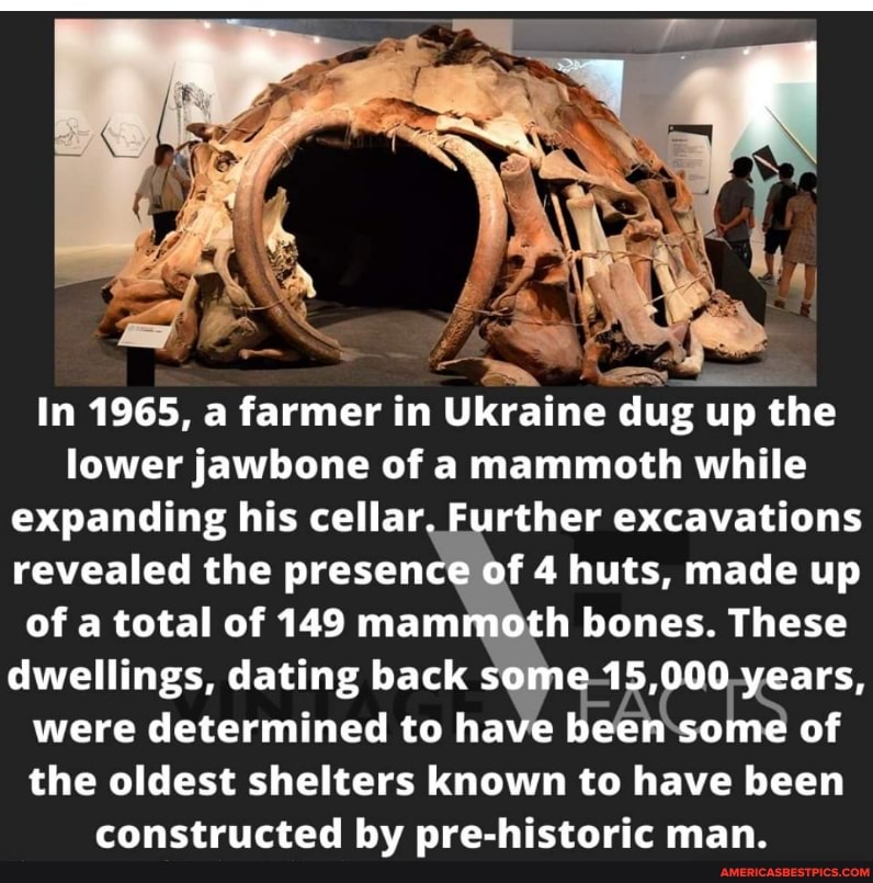In 1965, a farmer in Ukraine dug up the lower jawbone of a mammoth while expanding his cellar. Further excavations revealed the presence of 4 huts, made up of a total of 149 mammoth bones. These dwellings, dating back some 15,000 years, were determined to have been some of the oldest shelters known to have been constructed by pre-historic man.