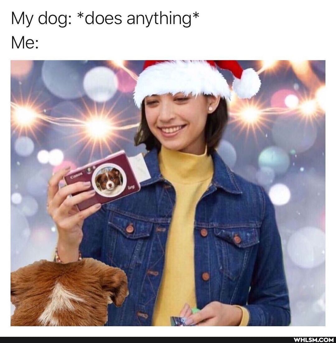 My dog: *does anything*