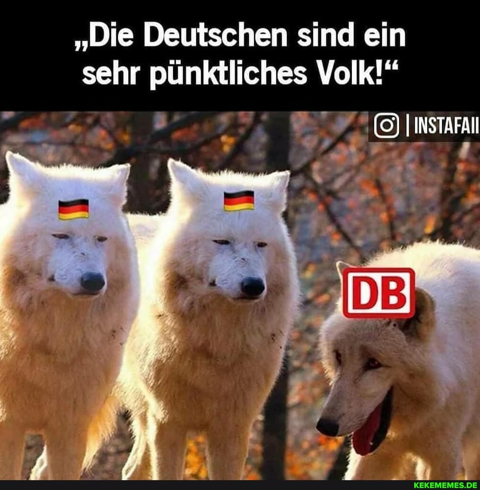 "Die Deutschen sind ein sehr pünktliches Volk!"
INSTAFAN