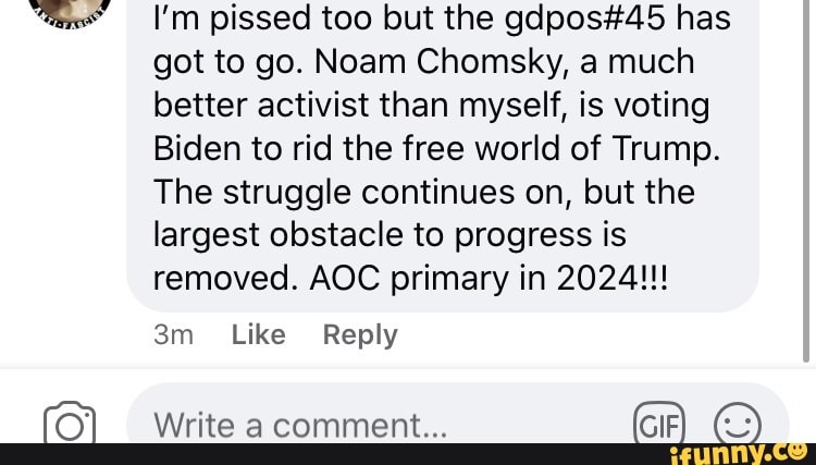 I'm pissed too but the has got to go. Noam Chomsky, a much better activist than myself, is voting
Biden to rid the free world of Trump.
The struggle continues on, but the largest obstacle to progress is removed. AOC primary in 2024!!!
Like Reply
Write a comment...