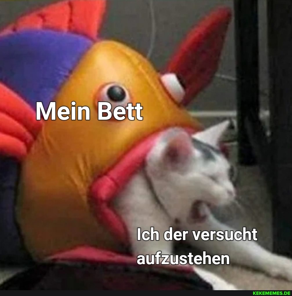Mein Bett
Ich der versucht aufzustehen