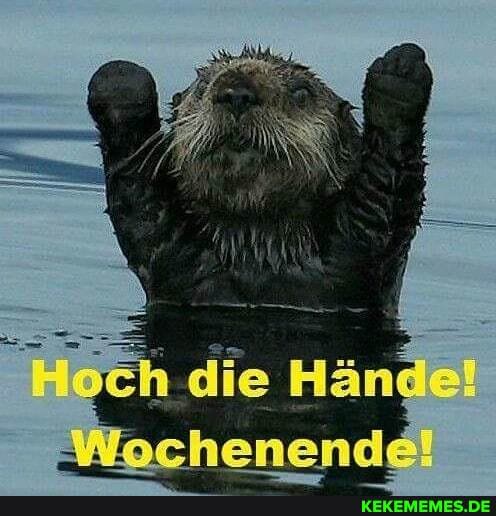 Hände
enend