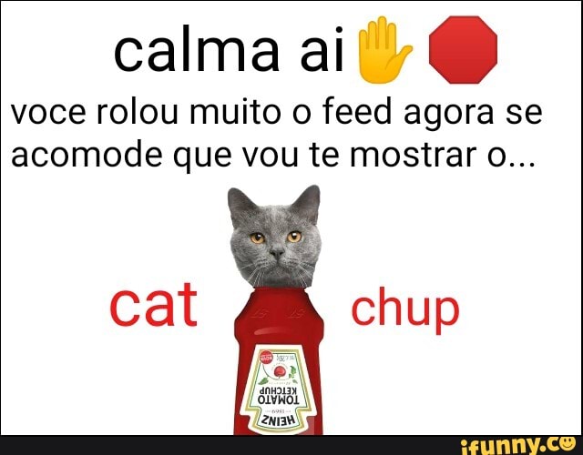 O
voce rolou muito o feed agora se
acomode que vou te mostrar o...