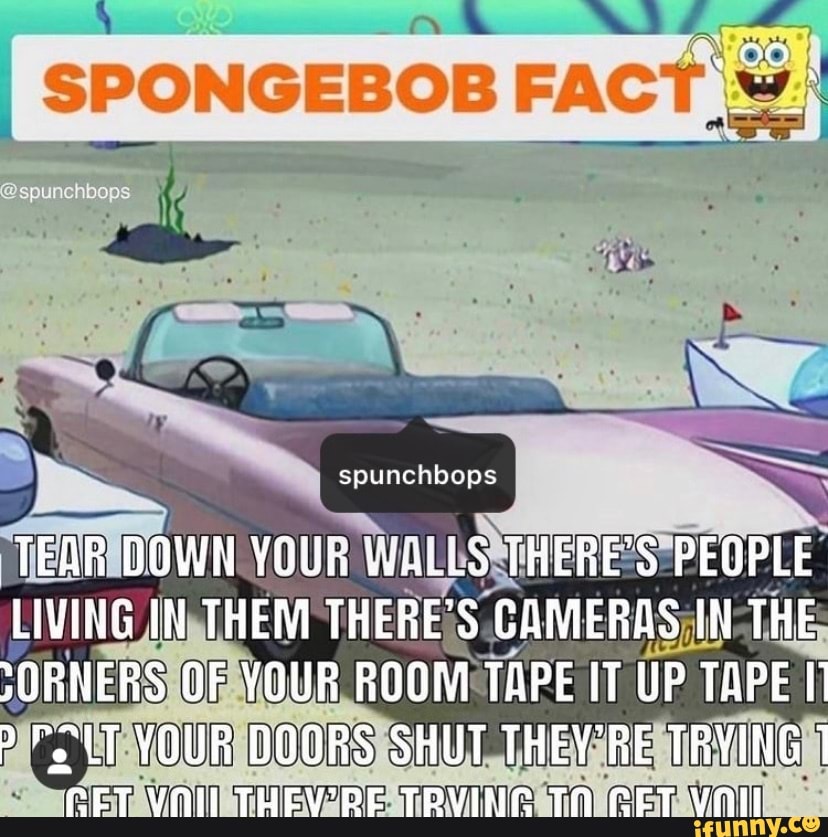 spongebob-fact-spunchbops-tear-down-your-walls-there-s-people-living