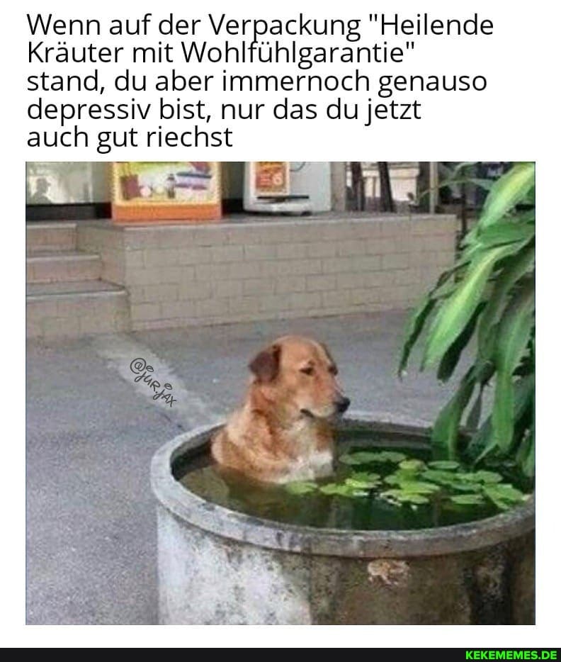 Wenn auf der Verpackung "Heilende
Kräuter mit Wohl stand, du aber immernoch genauso depressiv bist, nur das du jetzt
auch gut riechst
rar
