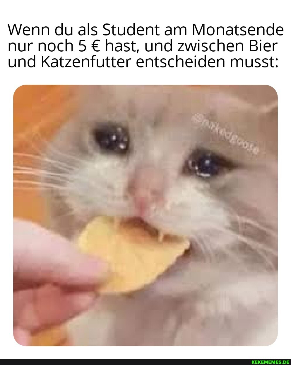 Wenn du als Student am Monatsende nur noch 5 hast, und zwischen Bier und Katzenfutter entscheiden musst: