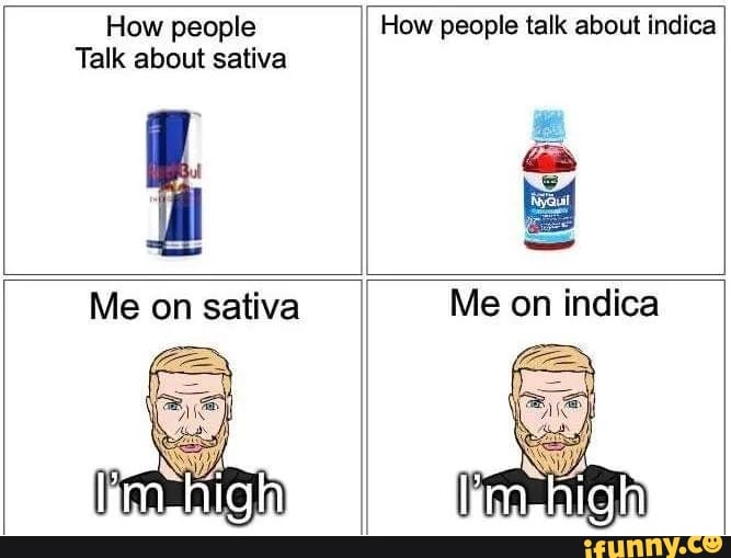 How people How people talk about indica Talk about sativa Me on sativa ...