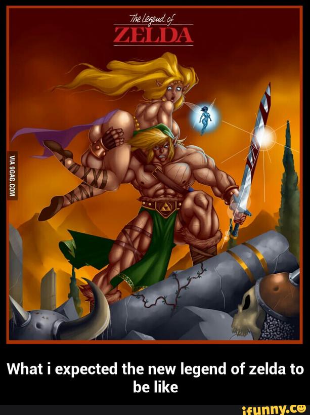 What i expected the new legend of zelda to
be like - What i expected the new legend of zelda to be like