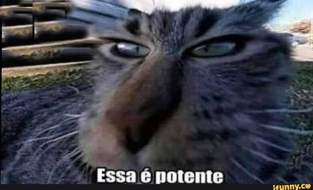 base, bases, basedememes, basedememe