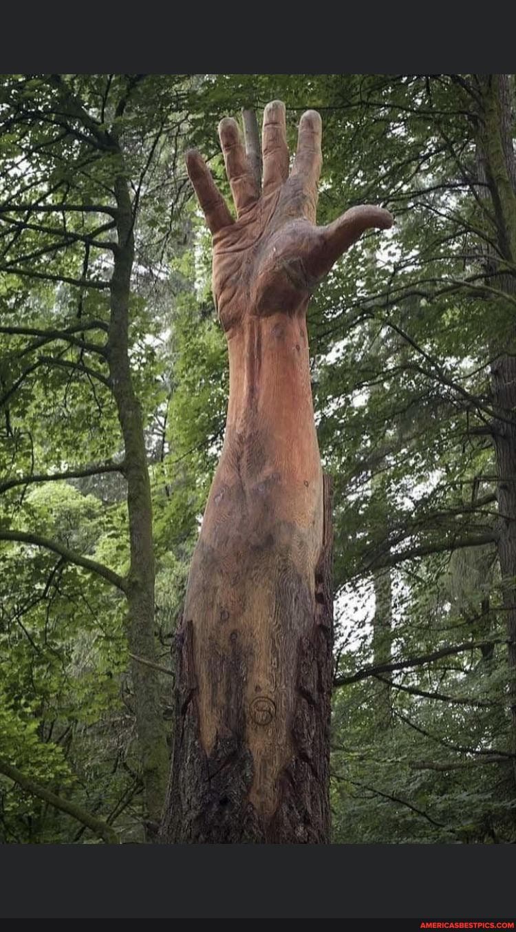 tree, carved, hand