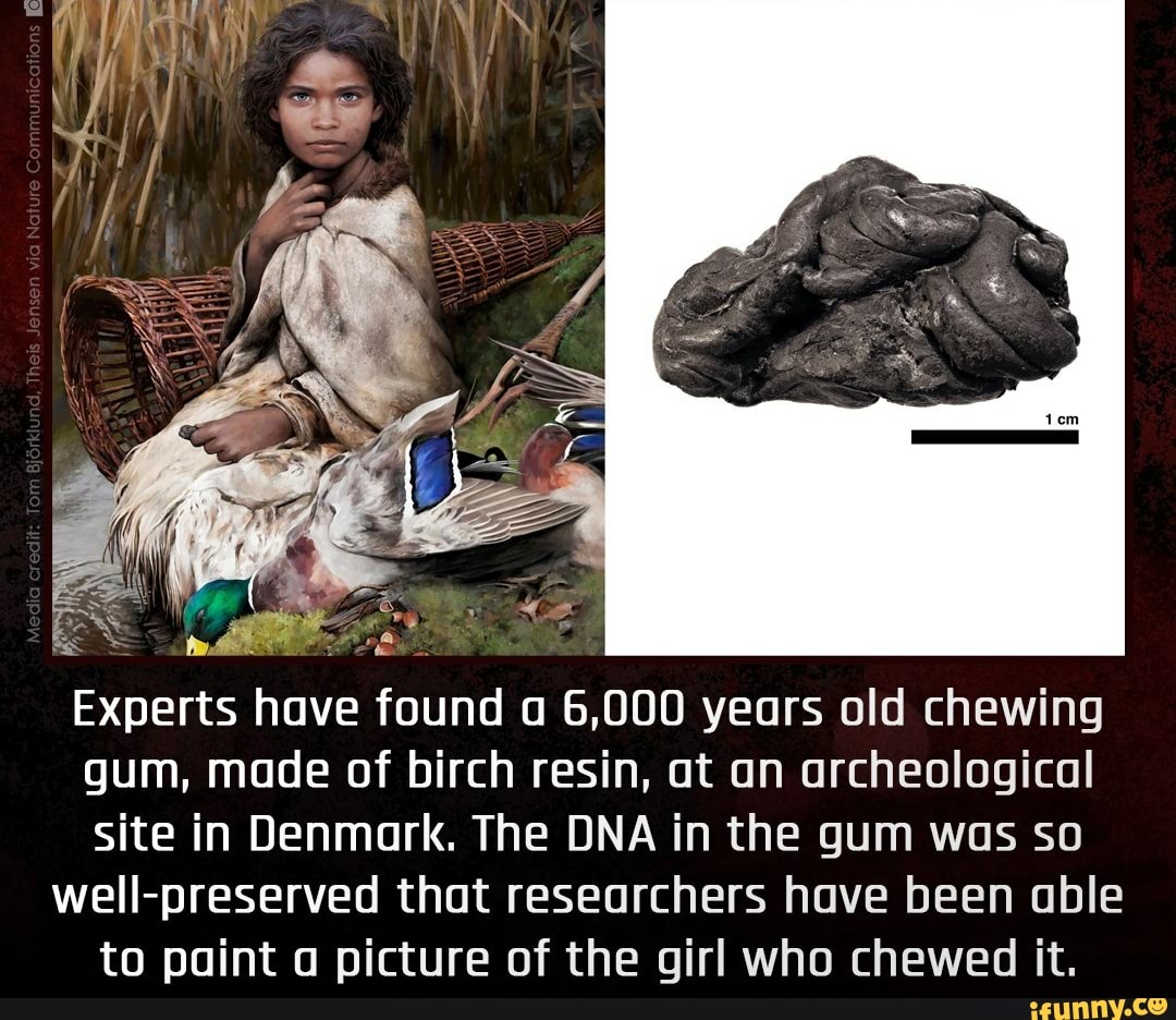 Experts Have Found A 6000 Years Old Chewing Gum Made Of Birch Resin At An Archeological Site 4776